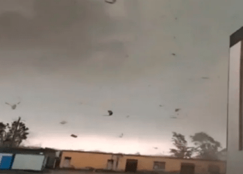 Tornado godet Kinën, raportohet për viktima