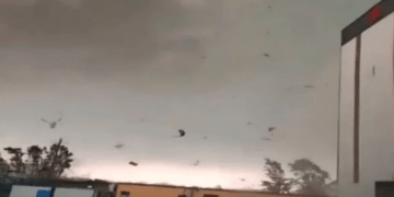 Tornado godet Kinën, raportohet për viktima