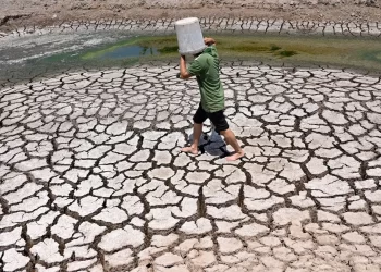 2024, viti që theu të gjitha rekordet e temperaturës