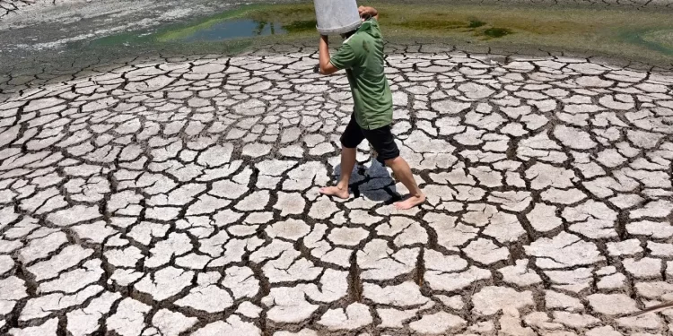 2024, viti që theu të gjitha rekordet e temperaturës