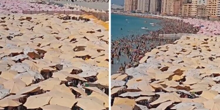 Video e plazheve egjiptiane që po lë pa fjalë njerëzit