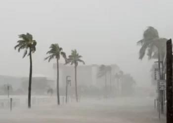 Uragani Debby godet Floridën