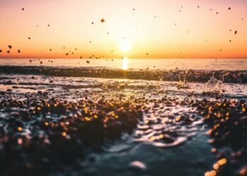 Moti për sot dhe ditët në vijim – e shtunë