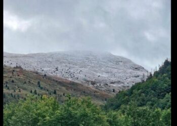 Bie bora e parë në Brezovicë