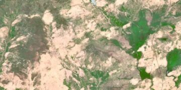 Shira të papritura edhe në skajet e Saharasë, gjelbërimi pushton zonën e thatë të shkretëtirës