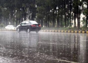 Reshje intensive shiu sot