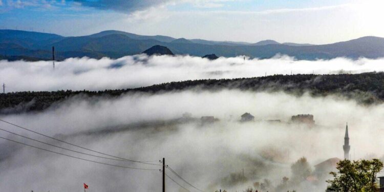 Parashikimi i motit për sot – e entje