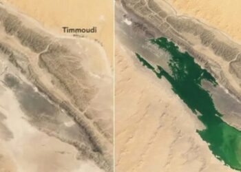 Pamje të papara të NASA-s, formohet një liqen në mes të Saharasë