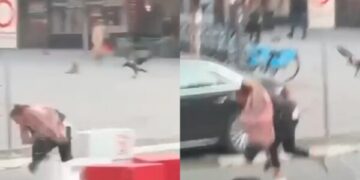 Sorrat sulmojnë qytetarët në qendër të Prishtinës, dy gra e pësojnë