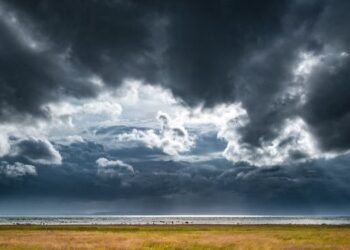 Parashikimi i motit për sot – e enjte