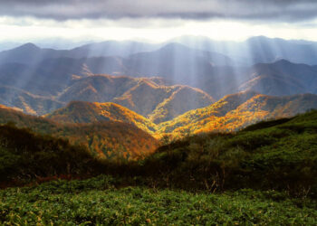 Parashikimi i motit për sot – e martë