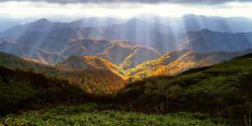 Parashikimi i motit për sot – e martë