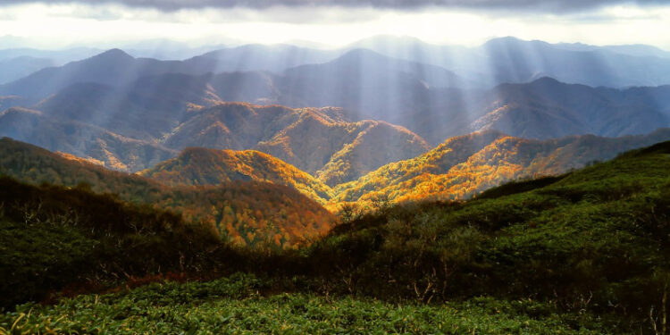 Parashikimi i motit për sot – e martë