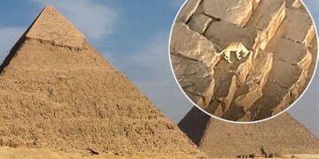 Një qen filmohet në maje të Piramidës së Keopsit, pamjet bëhen virale