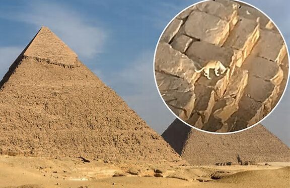 Një qen filmohet në maje të Piramidës së Keopsit, pamjet bëhen virale