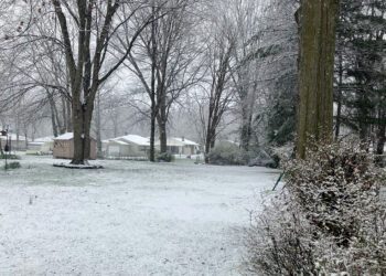 Parashikimi i motit për sot – e shtunë