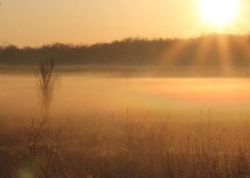 Moti për ditën e sotme – e martë