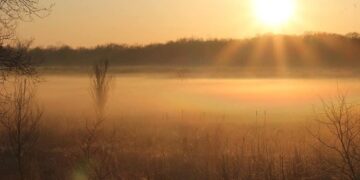 Moti për ditën e sotme – e martë