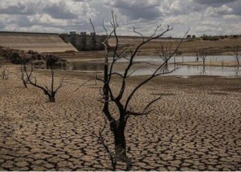 Rreth 1,2 miliardë njerëz mund të zhvendosen  viteve në vijim për shkak të klimës – paralajmërimi i OBSH-së