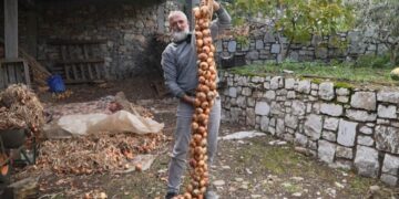 Fermeri shqiptar synon rekordin Guinness me vargun më të gjatë të qepëve