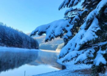 Moti nesër dhe ditëve në vazhdim! (03.12.2024.) E Martë