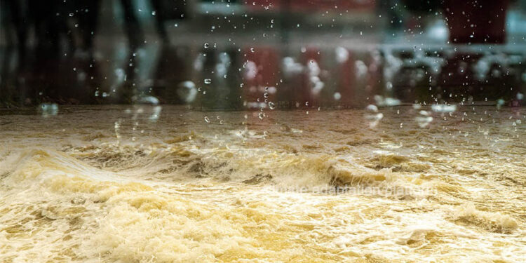 A është Kosova e rrezikuar nga zjarret dhe vërshimet? Raporti i Bankës Botërore për klimën