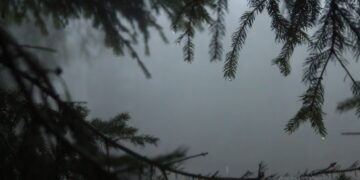 Parashikimi i motit për sot – e shtunë