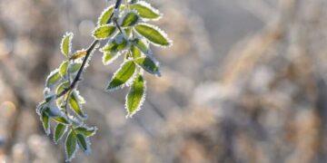 Parashikimi i motit për sot – e diel