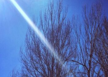 Parashikimi i motit për sot – e enjte