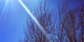 Parashikimi i motit për sot – e enjte