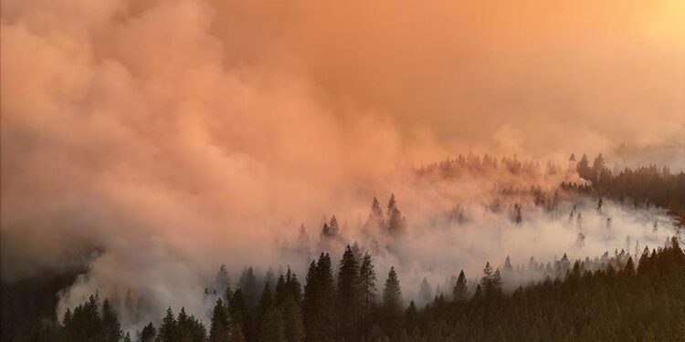 SHBA, urdhër evakuimi për më shumë se 20 mijë persona për shkak të zjarreve në Kaliforni
