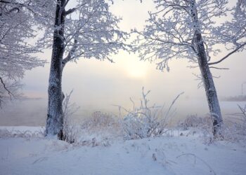 Moti nesër dhe ditëve në vazhdim! (18.01.2025.) E Shtunë