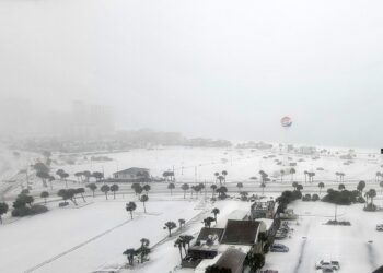 Stuhia e pazakontë e dimrit në SHBA, zbardhen shtetet ku bora është fenomen i rrallë