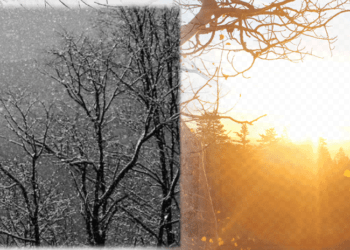 Parashikimi i motit për sot – e premte