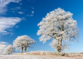 Parashikimi i motit për sot – e martë