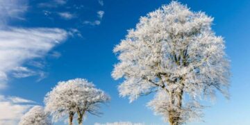 Parashikimi i motit për sot – e martë