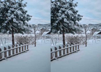 Parashikimi i motit për sot – e shtunë