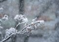 Parashikimi i motit për sot – e hënë