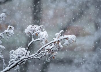 Parashikimi i motit për sot – e hënë