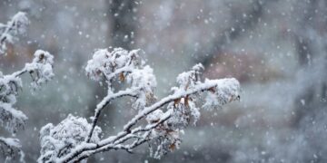 Parashikimi i motit për sot – e hënë