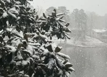 Parashikimi i motit për sot – e enjte