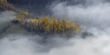 Parashikimi i motit për sot – e diel