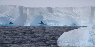 Ajsbergu më i madh në botë mund të përplaset me një ishull në brigjet e Atlantikut