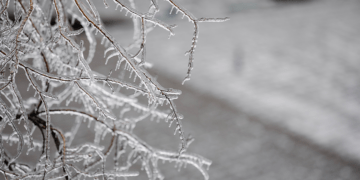 Parashikimi i motit për sot – e enjte