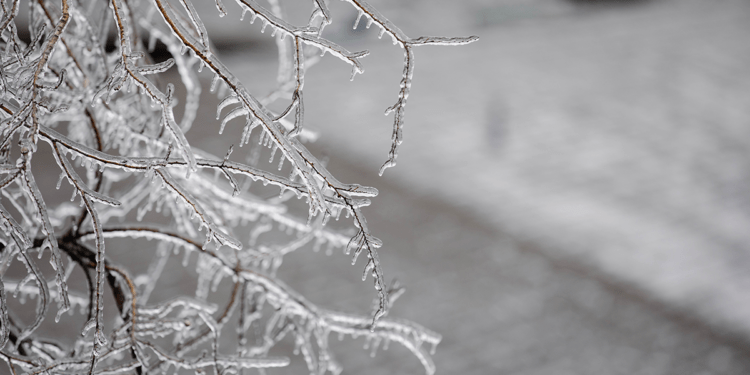 Parashikimi i motit për sot – e enjte