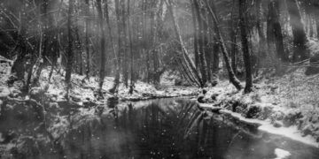 Parashikimi i motit për sot – e shtunë