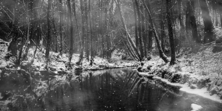 Parashikimi i motit për sot – e shtunë