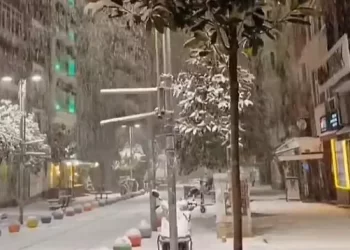 Bora “paralizon” Stambollin