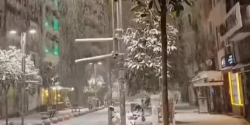 Bora “paralizon” Stambollin