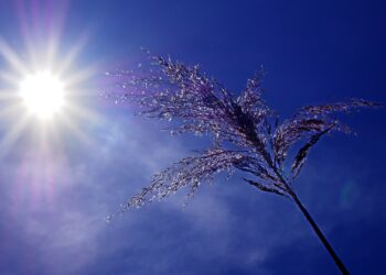 Parashikimi i motit për sot – e hënë